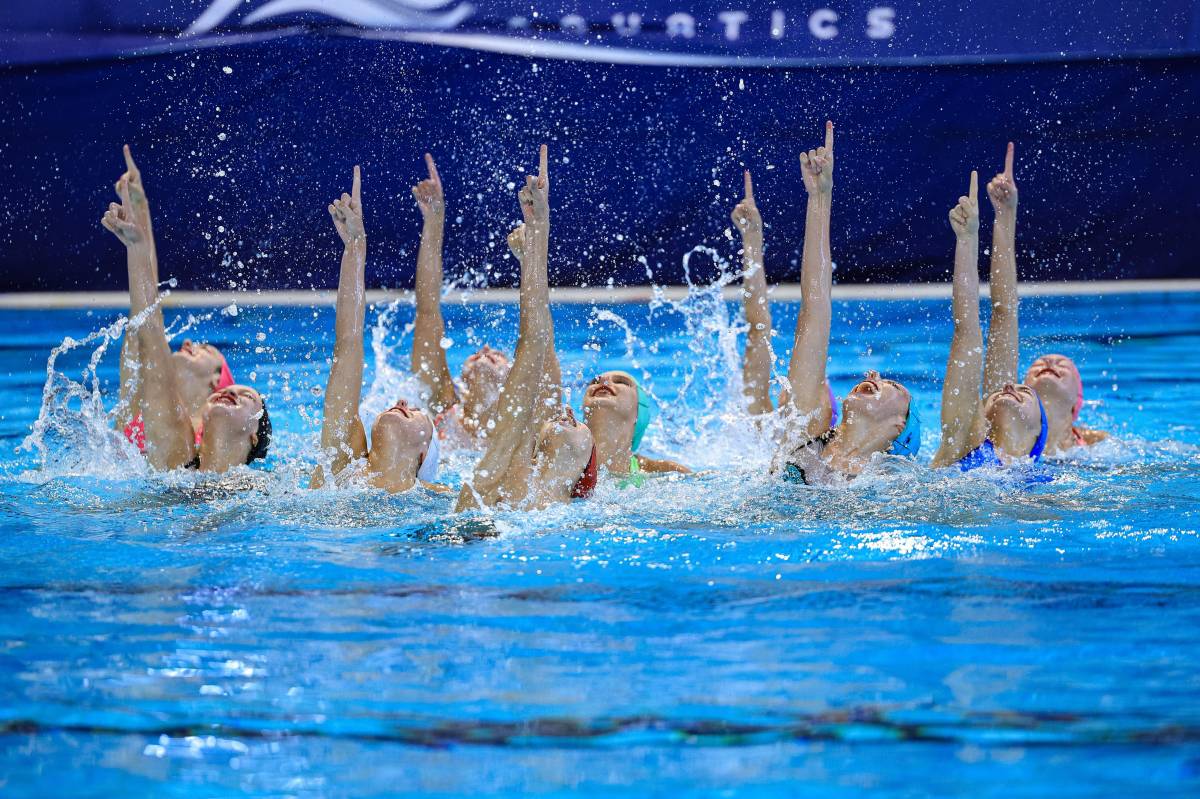 campionat d`artística - campionat d`artística