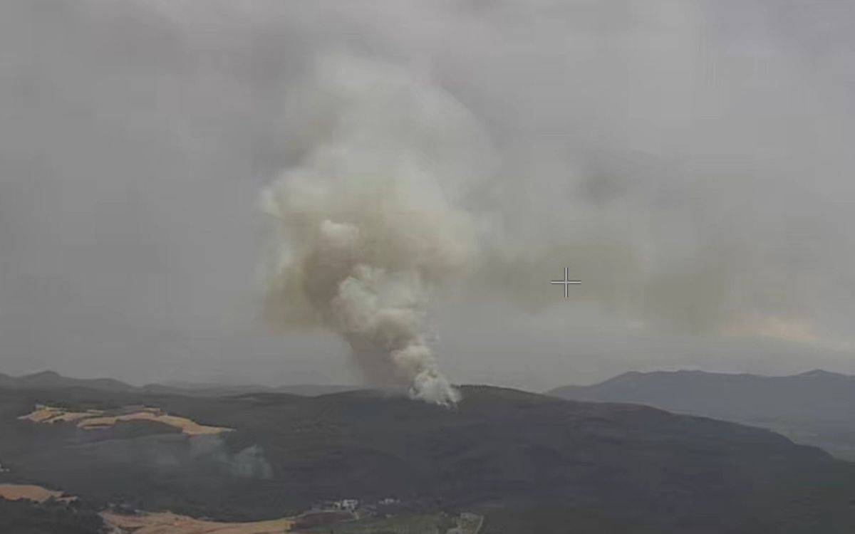 Quart incendi forestal en pocs dies a l'Alt Camp