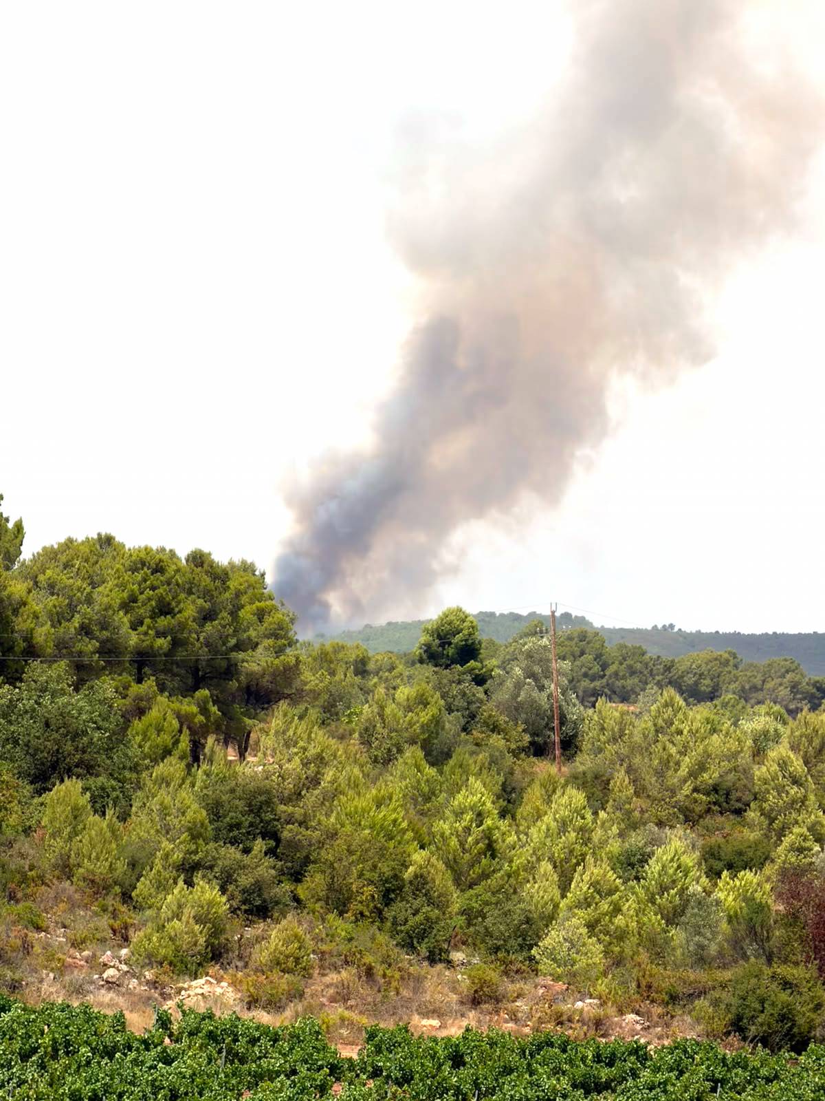 Nou incendi a l'Alt Camp en el pic de l'onada de calor a Catalunya