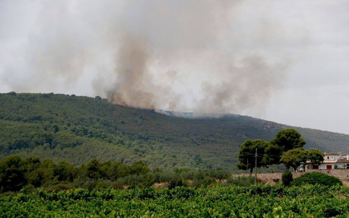 Quart incendi forestal en pocs dies a l'Alt Camp