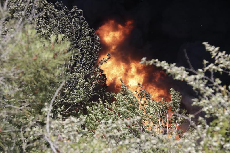 Onze dotacions dels Bombers treballen en un incendi de vegetació agrícola a Alguaire