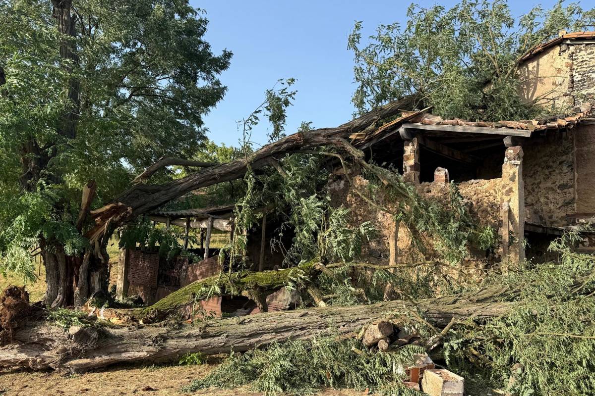 Tretze ferits en caure un arbre sobre un porxo d'una masia a Olot
