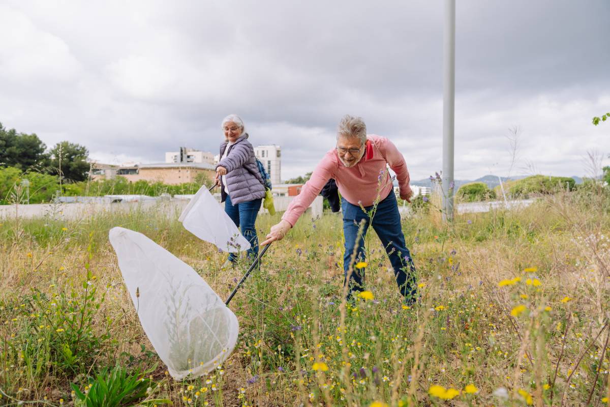 El riu Llobregat, un inesperat oasi metropolità per a les papallones
