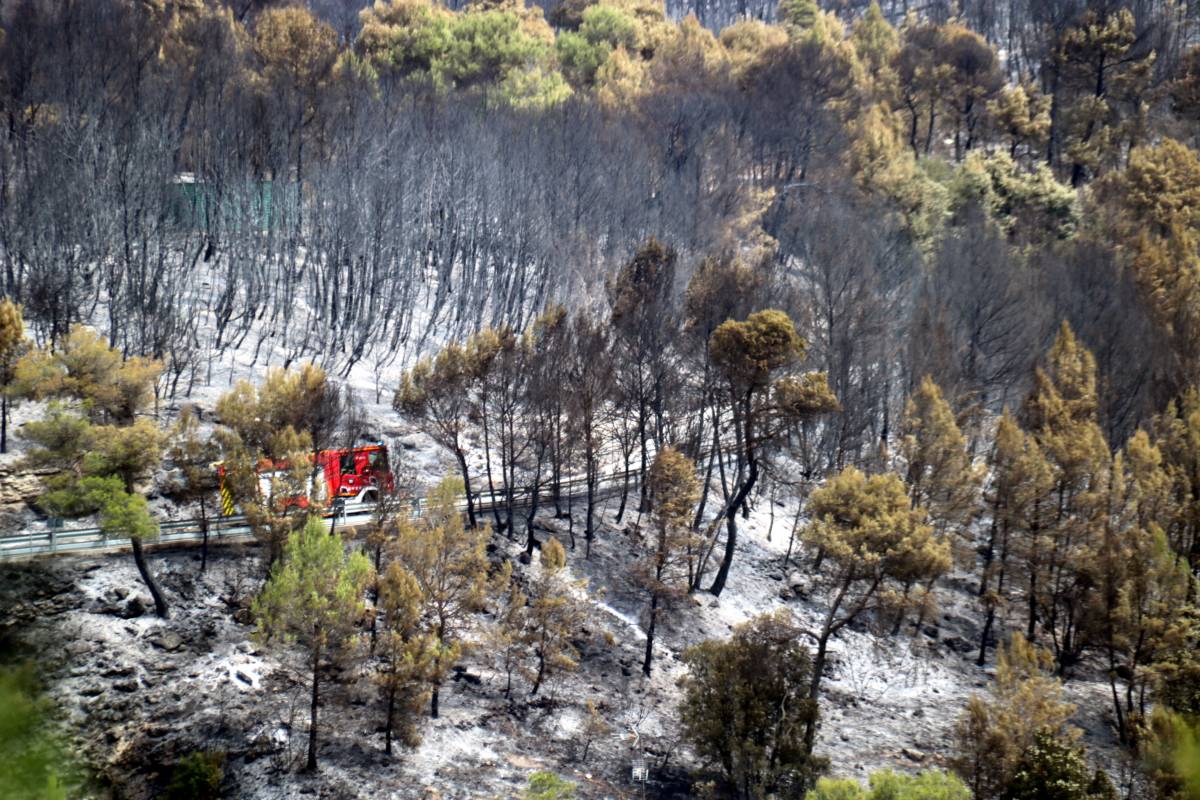 La meitat de les hectàrees calcinades a Sant Quirze són d'un únic propietari: «Quan et trobes així, no s'hi pot fer res»