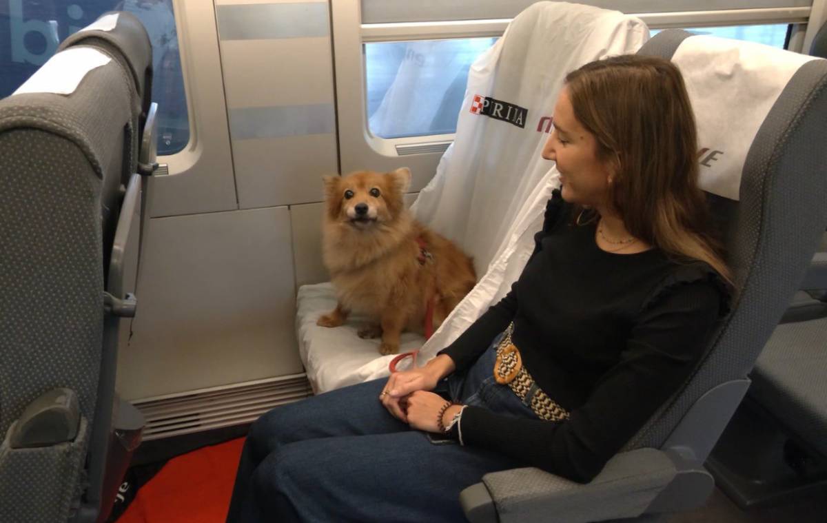 Els gossos també pugen al tren: Renfe estrena bitllets per a mascotes