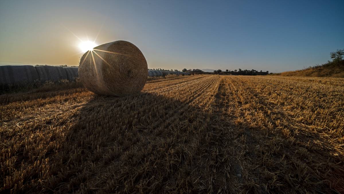 El temps del cap de setmana: predomini del sol amb xàfecs puntuals de tarda