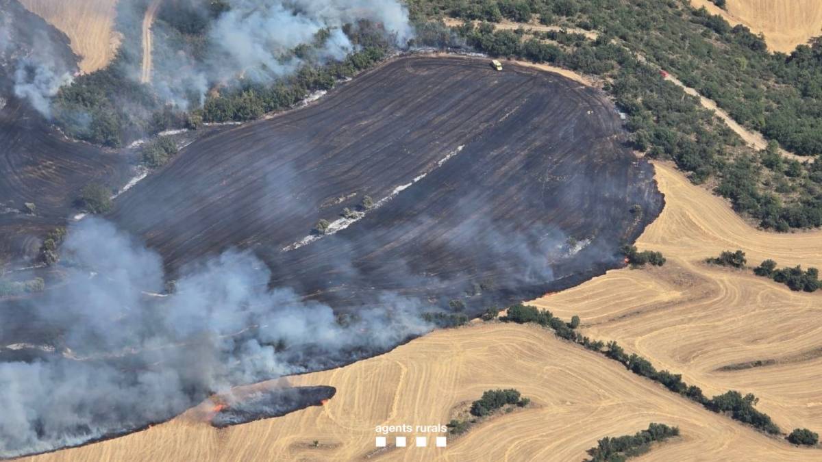 Un incendi a una zona de conreus de la Noguera crema 9 hectàrees