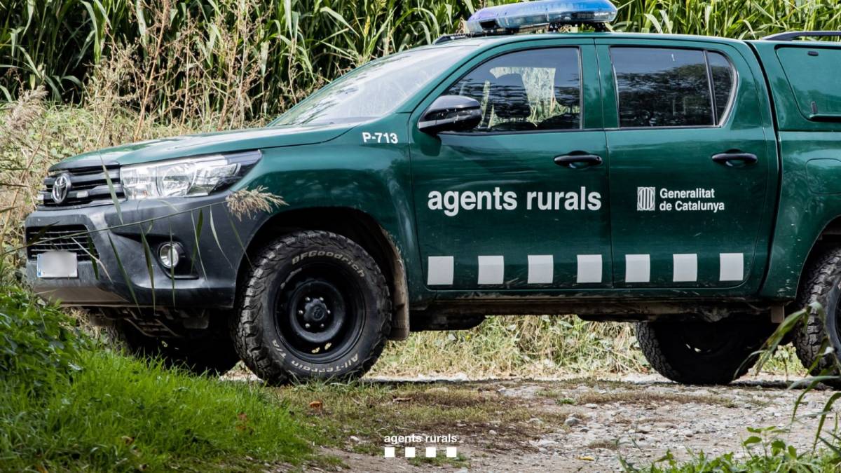 Vehicle dels Agents Rurals en una imatge d'arxiu - Generalitat de Catalunya