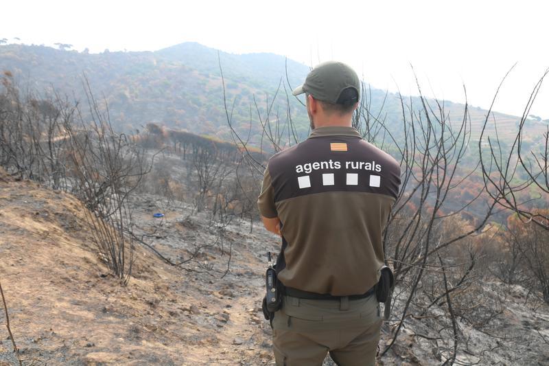 Detenen el presumpte autor de tres incendis forestals al Prat de Llobregat