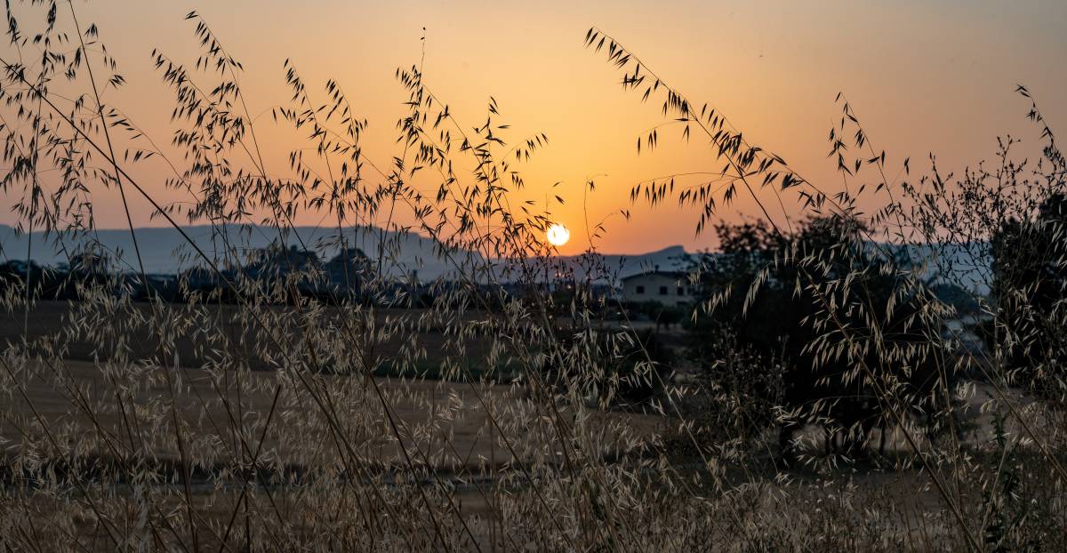 El temps d'aquest dimarts 21 de juliol: 16 comarques en avís per calor extrema