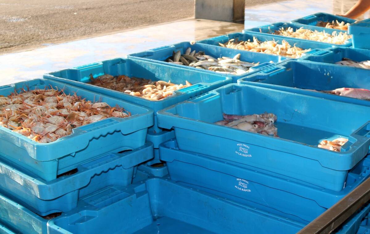 Detenen dues persones per estafar més de 13.000 euros a empreses alimentàries