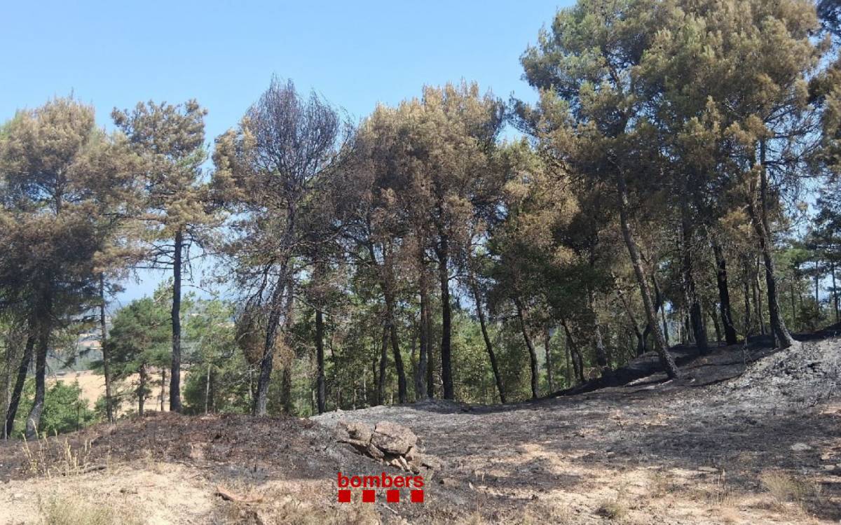 Incendi de vegetació als marges de la carretera entre Oristà i Avinyó