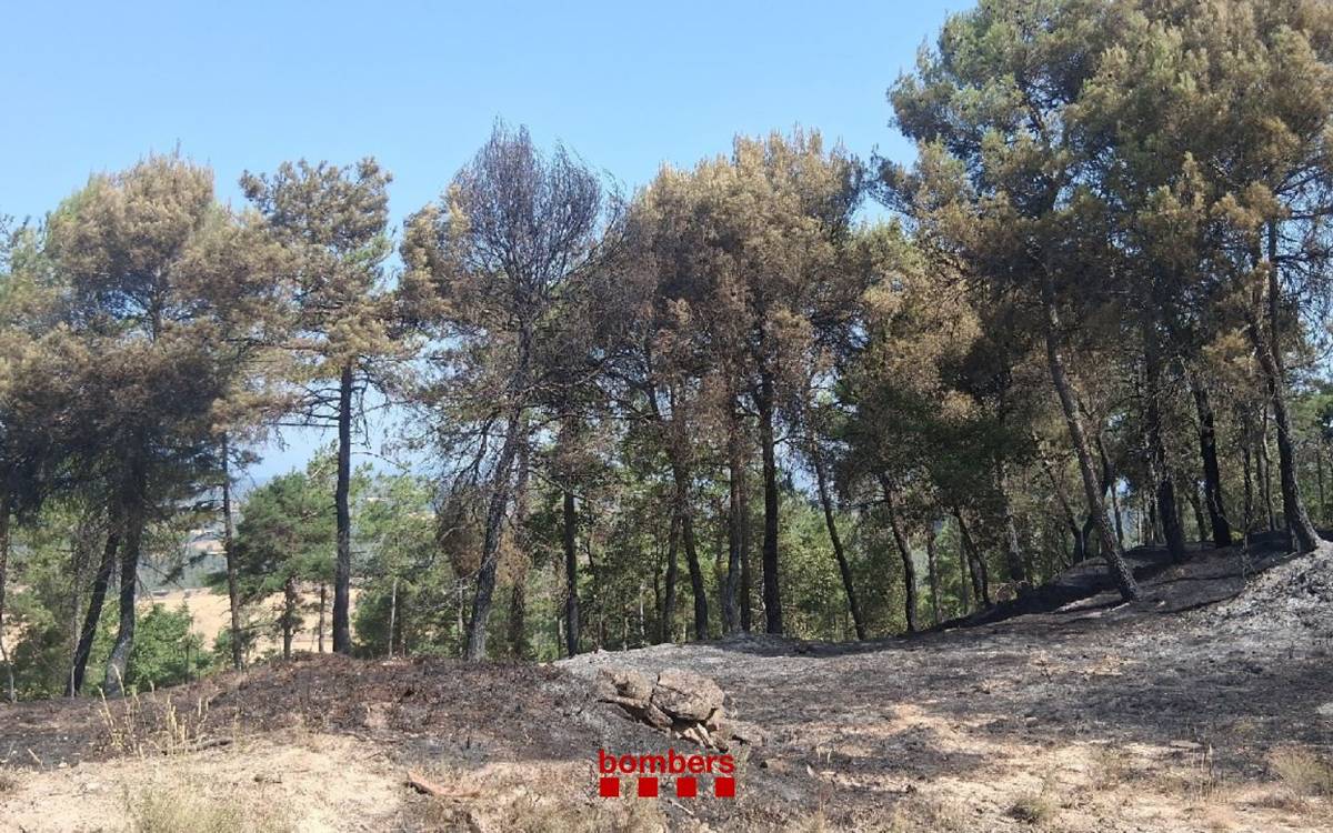 Un incendi de vegetació entre Oristà i Avinyó obliga a mobilitzar set dotacions dels Bombers