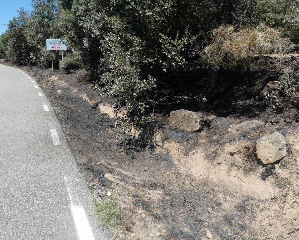 Un jove de 19 anys identificat per incendi intencionat a Pinell del Solsonès