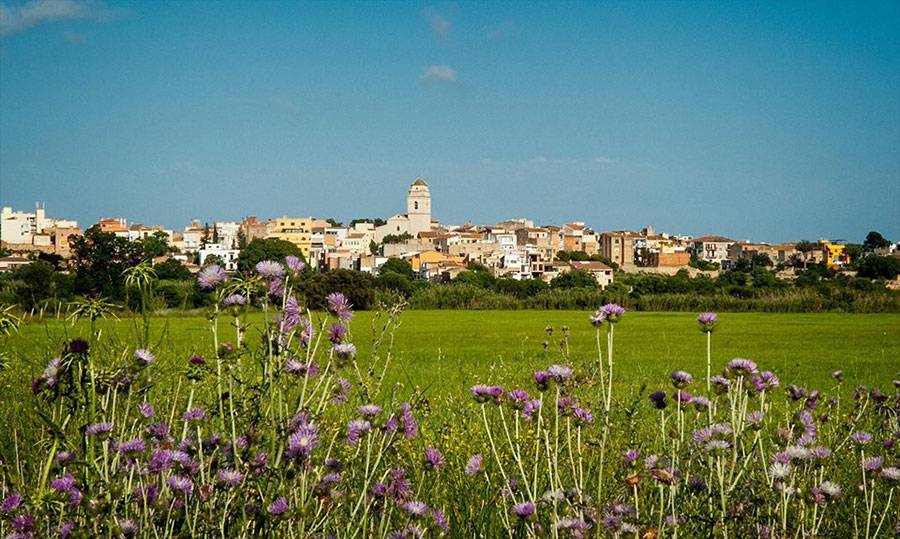 Detenen un home a la Canonja per intentar matar a la parella a ganivetades