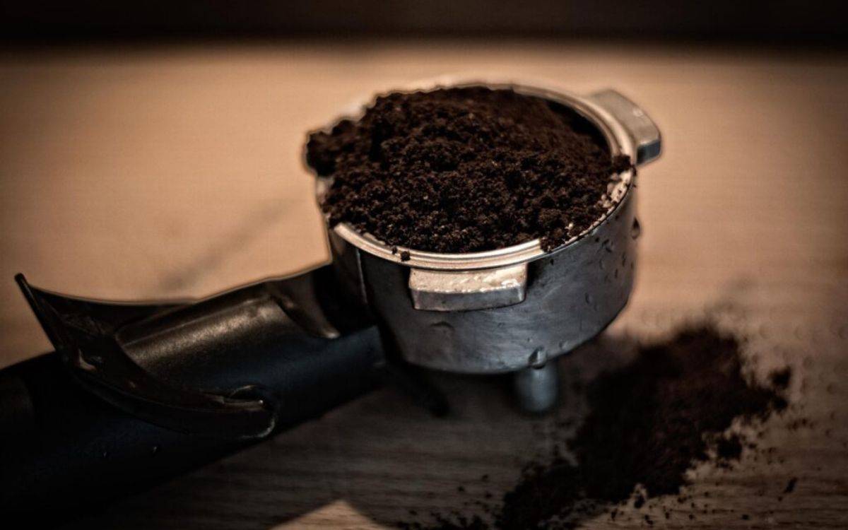 Investigadors de la URV converteixen els pòsits de cafè en matèria primera per produir biocombustibles