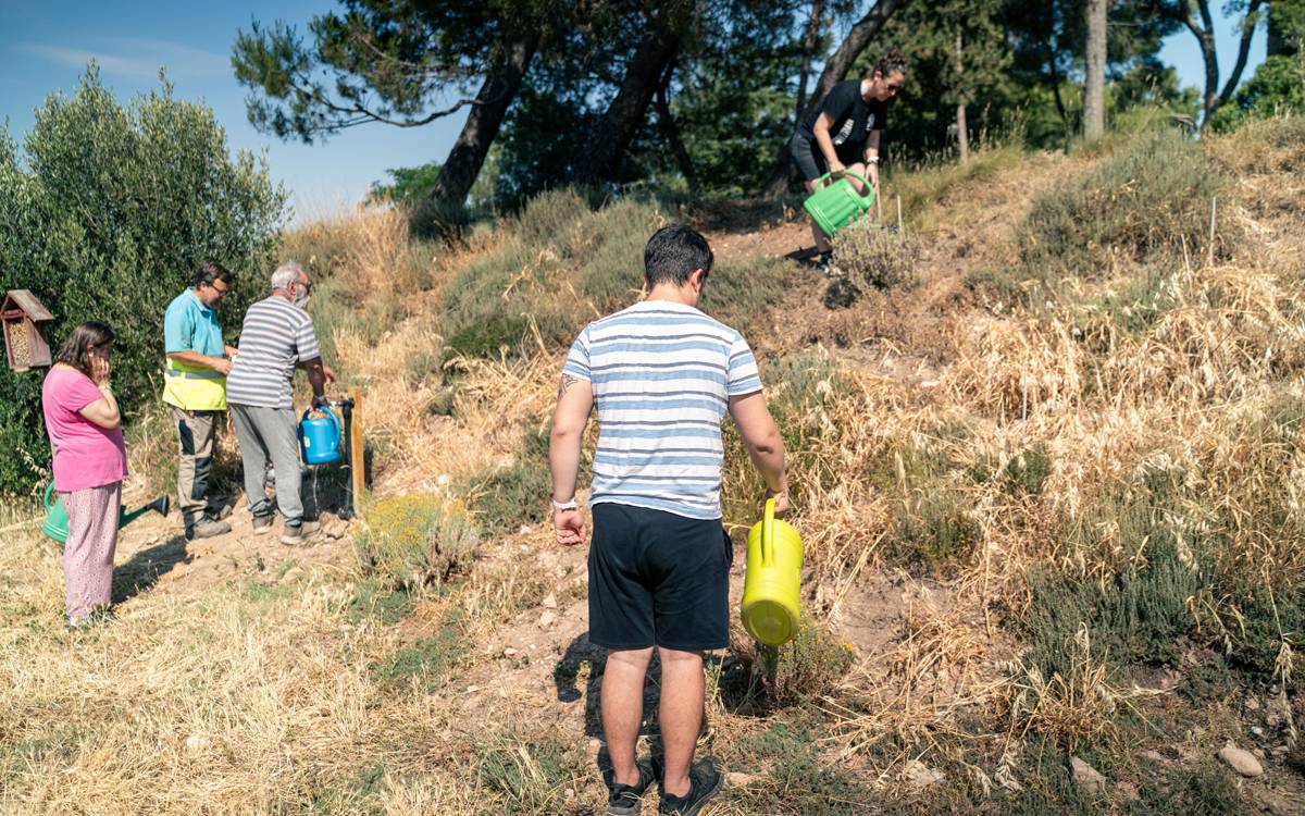 Althaia i el Parc de la Séquia impulsen un hort terapèutic per a salut mental comunitària