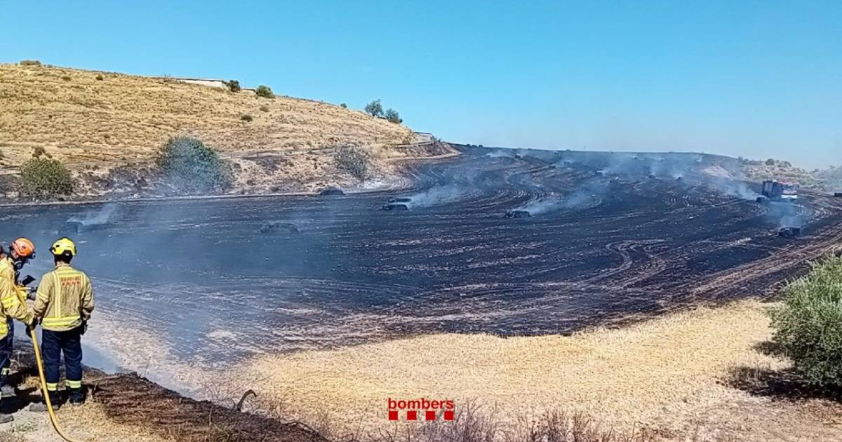 L'incendi d'Alguaire ha cremat sis hectàrees agrícoles