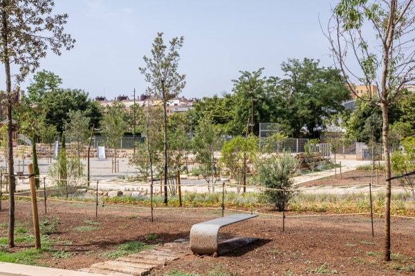 FOTOS | Els Jardins del Sud ja estan acabats: per què encara no s'han inaugurat?