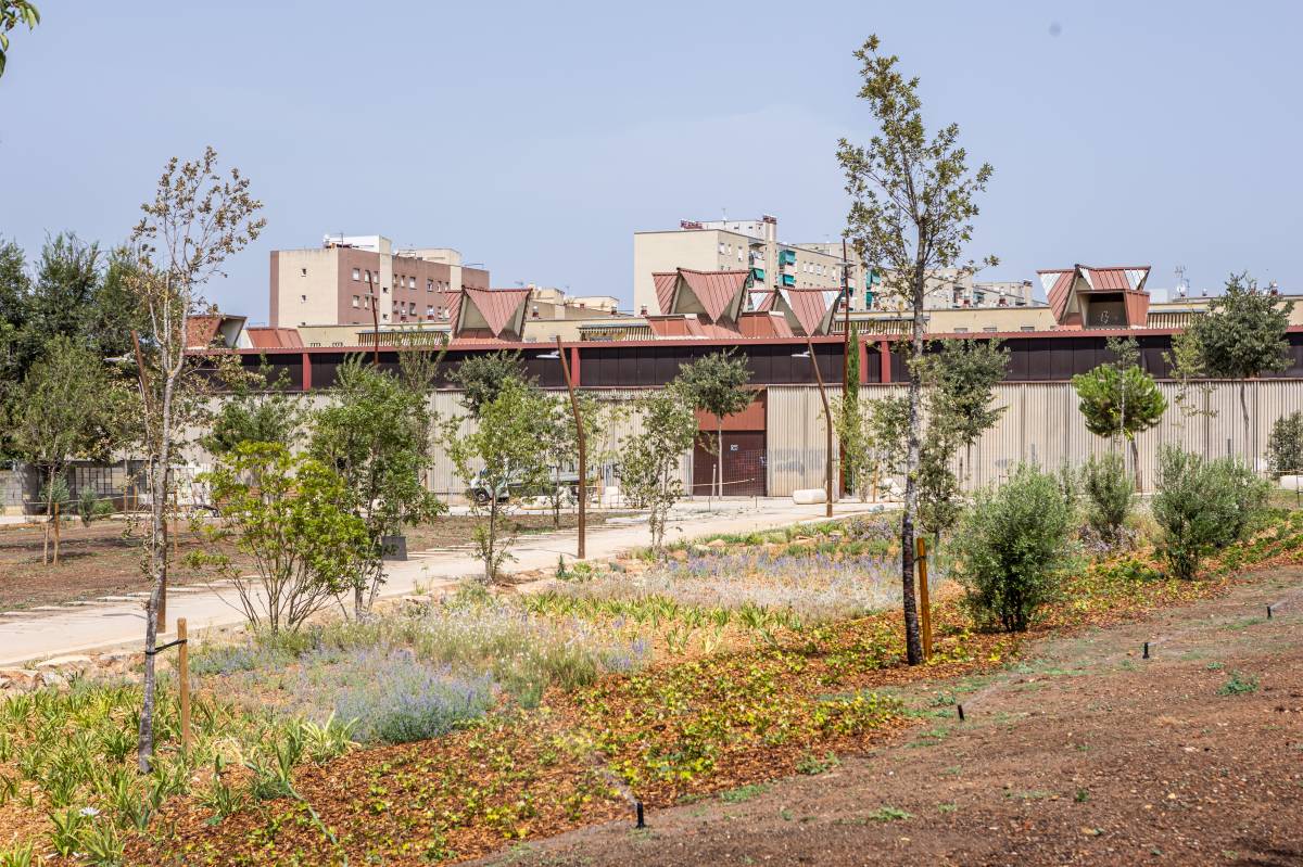 Els Jardins del Sud ja estan acabats - JUANMA PELÁEZ Els Jardins del Sud ja estan acabats