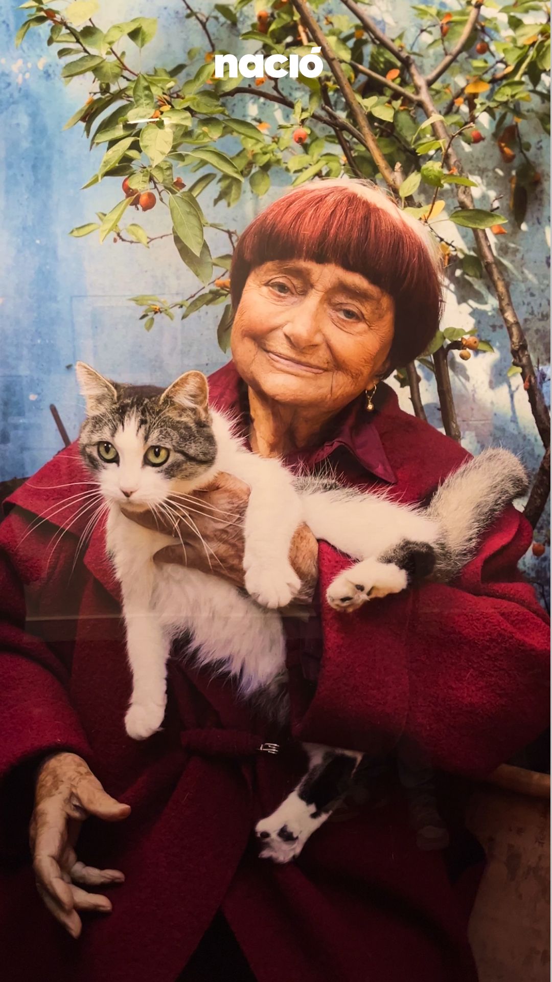 Ser dona i directora de cine als anys 60: així va començar la revolució d’Agnès Varda