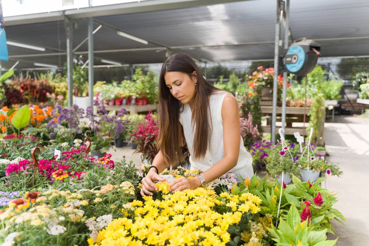 Tot el que cal saber sobre les plantes a l’estiu: reg, mosquits i flors que resisteixen la calor