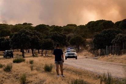 Unifiquen l'extinció dels incendis de Madrid i Àvila després de cremar 25.000 hectàrees