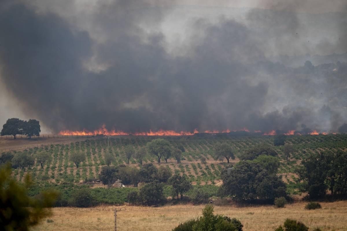 L'incendi de Castella ja ha cremat unes 45.000 hectàrees - Europa Press