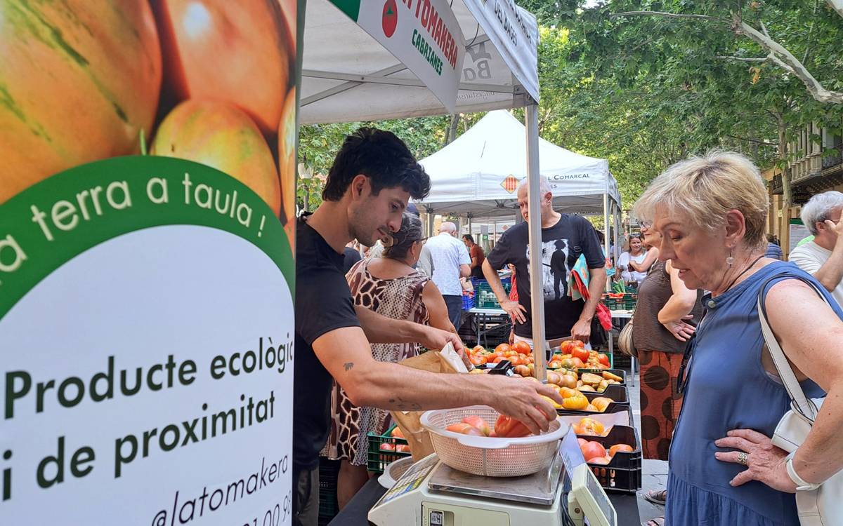 La Festa del Tomàquet del Bages tanca una desena edició de rècord