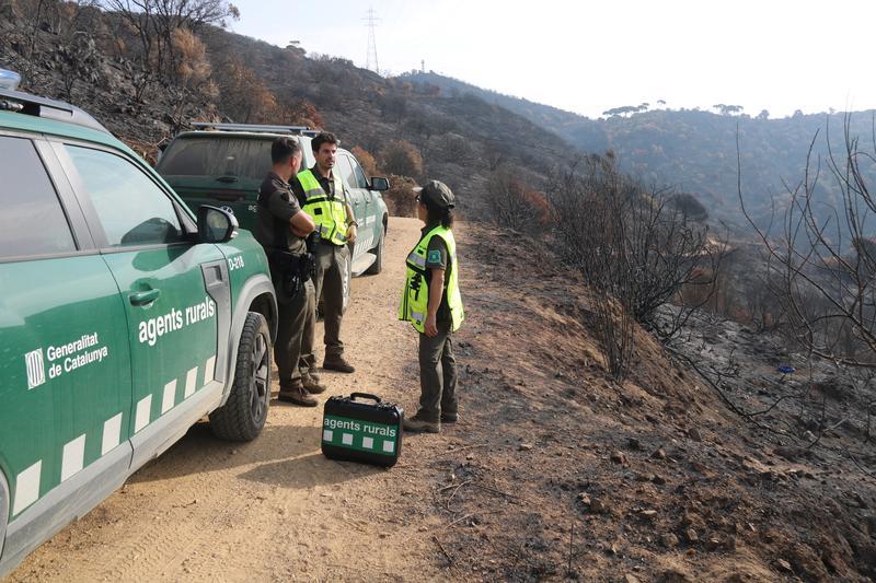 Perill molt alt d'incendi forestal a 58 municipis de Ponent, Catalunya Central i Terres de l'Ebre