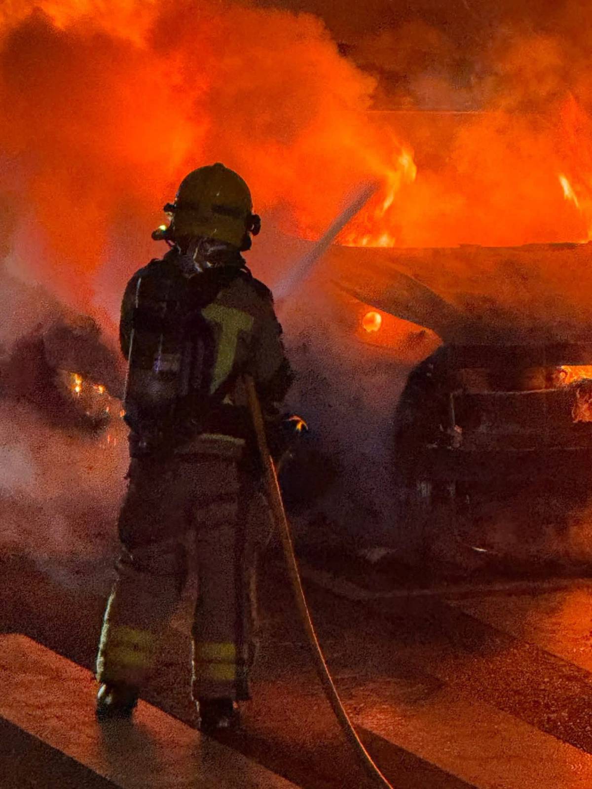 Cremen un vehicle i un contenidor al carrer de l'Himàlaia - CEDIDA