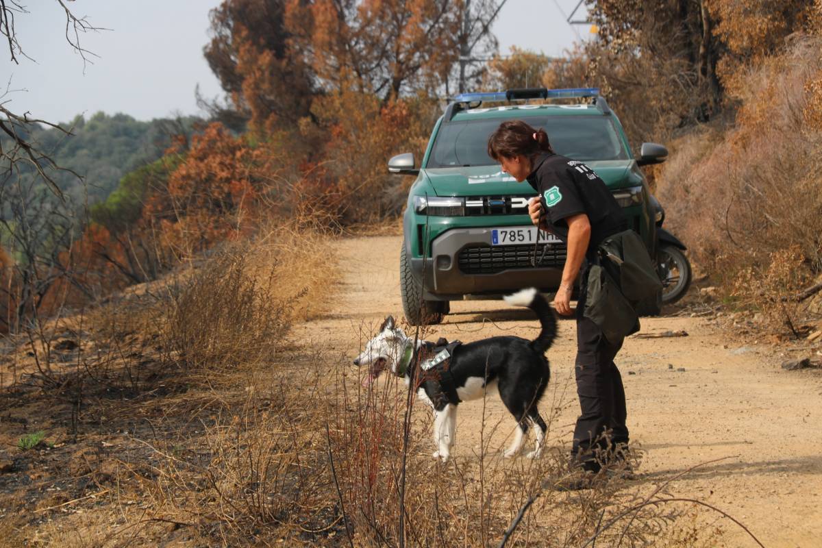 Protecció Civil manté activat l'INFOCAT per alt risc d'incendi especialment a Terres de l'Ebre, Tarragona i Segrià