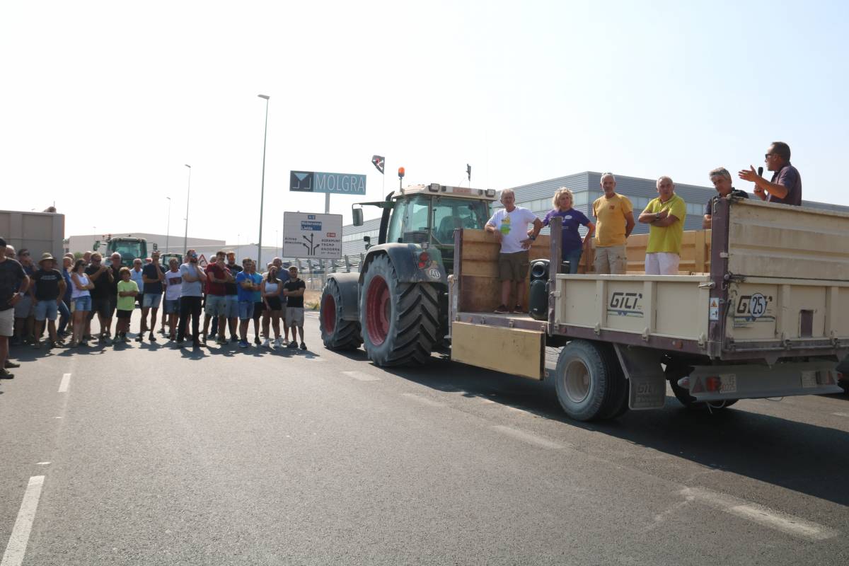 Els pagesos tornen a tallar la C-14 a Tàrrega contra la sobrepoblació de conills i la gestió de les ZEPA