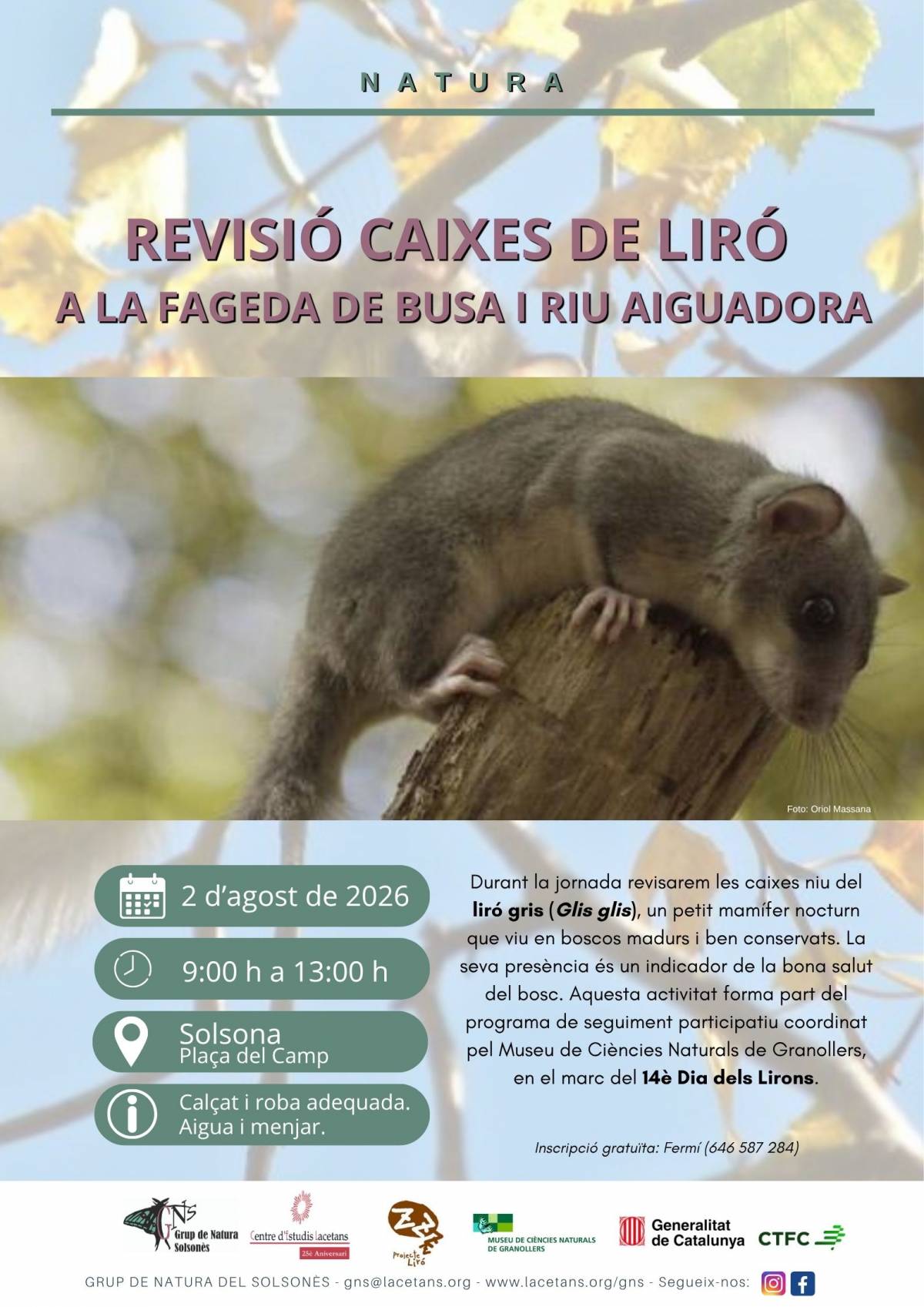 El Grup de Natura del Solsonès organitza una jornada per revisar caixes niu de liró gris