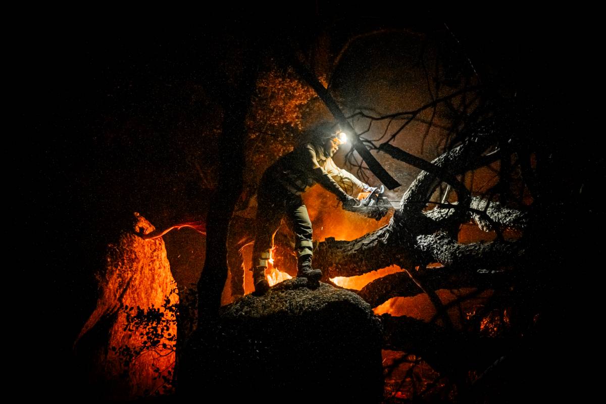 Crisi climàtica o «netejar boscos»? La falsa dicotomia per explicar els megaincendis