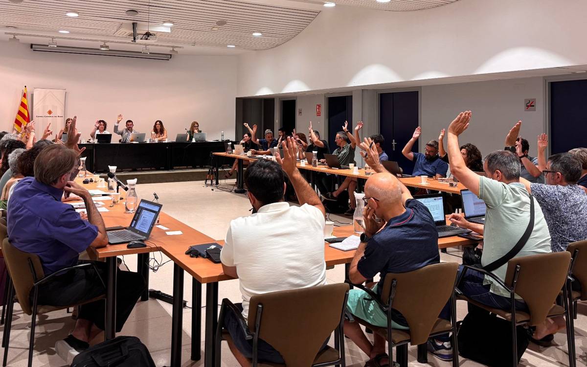 El Consell Comarcal del Bages reclama trens semidirectes i presentarà al·legacions al Plater
