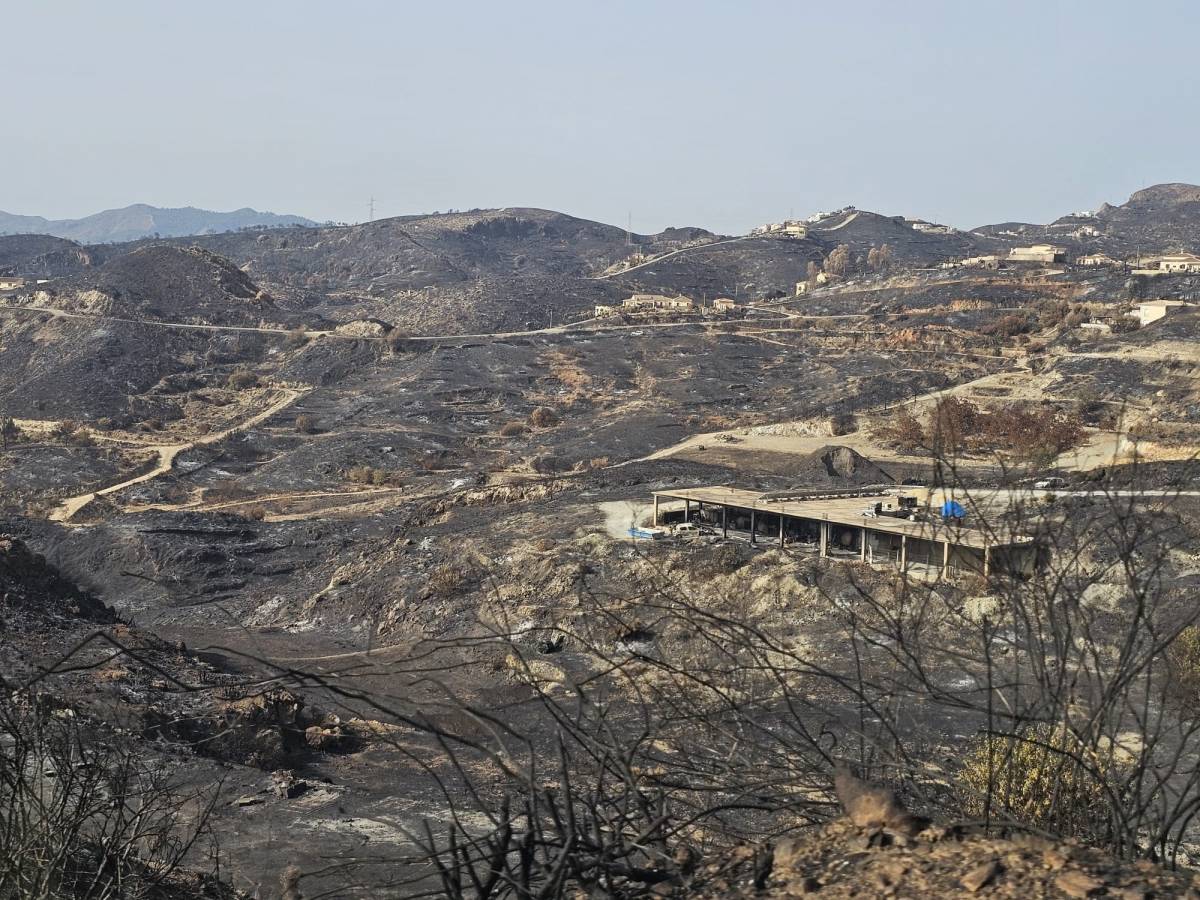 Pugen a 14 les víctimes mortals de l'incendi d'Almeria