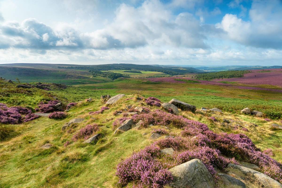 Les midlands angleses - 