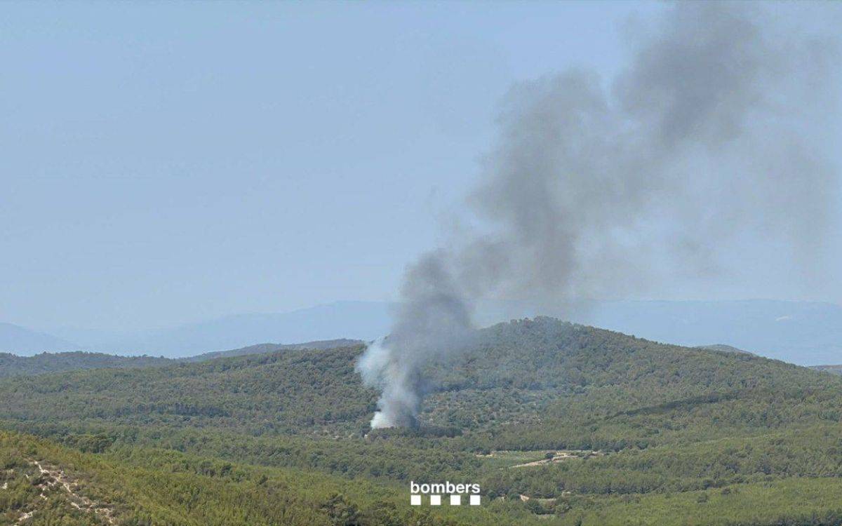 Es declara un incendi de vegatació forestal al Baix Penedès