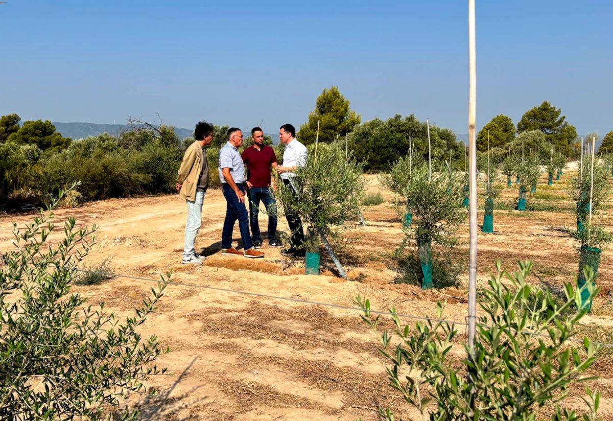 Reactiven les obres del regadiu de Vingalis a la Ribera d'Ebre, un projecte pendent feia setze anys 