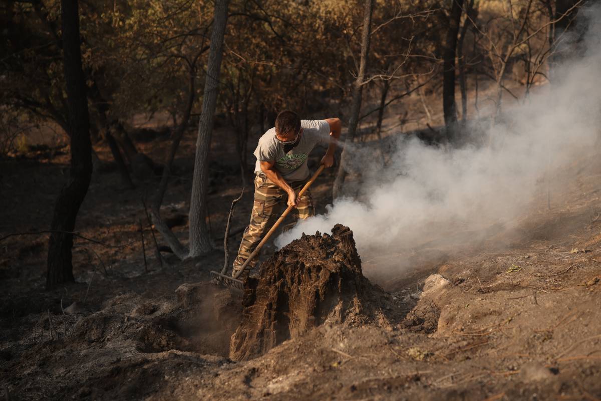 Els bombers donen els incendis a Castella per «estabilitzats» i el de la Vall d'Uixó per «perimetrat»