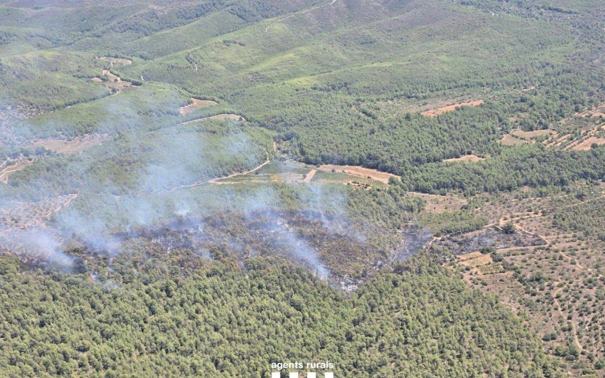 Els Bombers donen per controlat l'incendi forestal de Masllorenç