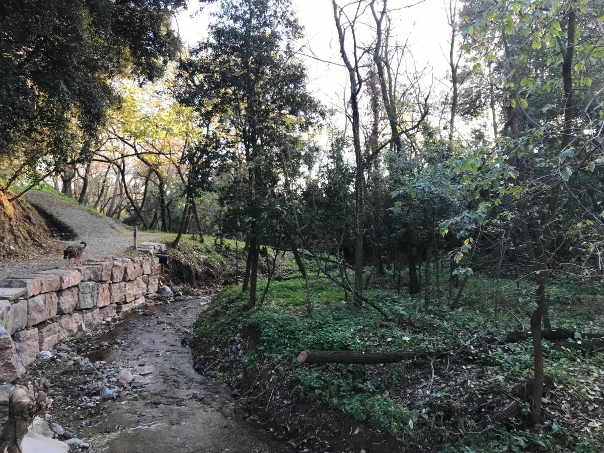 Denuncien un abocament il·legal a la Riera de Vilamajor