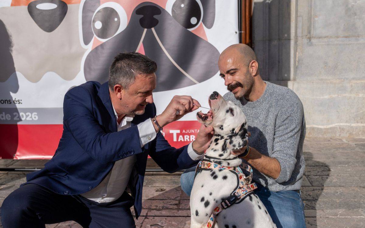 El registre de l'ADN dels gossos és obligatori a Tarragona. - Joan Carles Borrachero