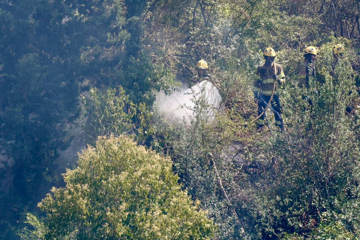 Incendi forestal al Raval d`Amàlia de Sabadell - Juanma Peláez Incendi forestal al Raval d`Amàlia de Sabadell