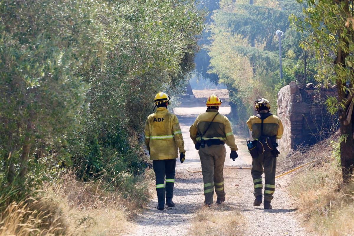 Incendi forestal al Raval d`Amàlia de Sabadell - Juanma Peláez Incendi forestal al Raval d`Amàlia de Sabadell