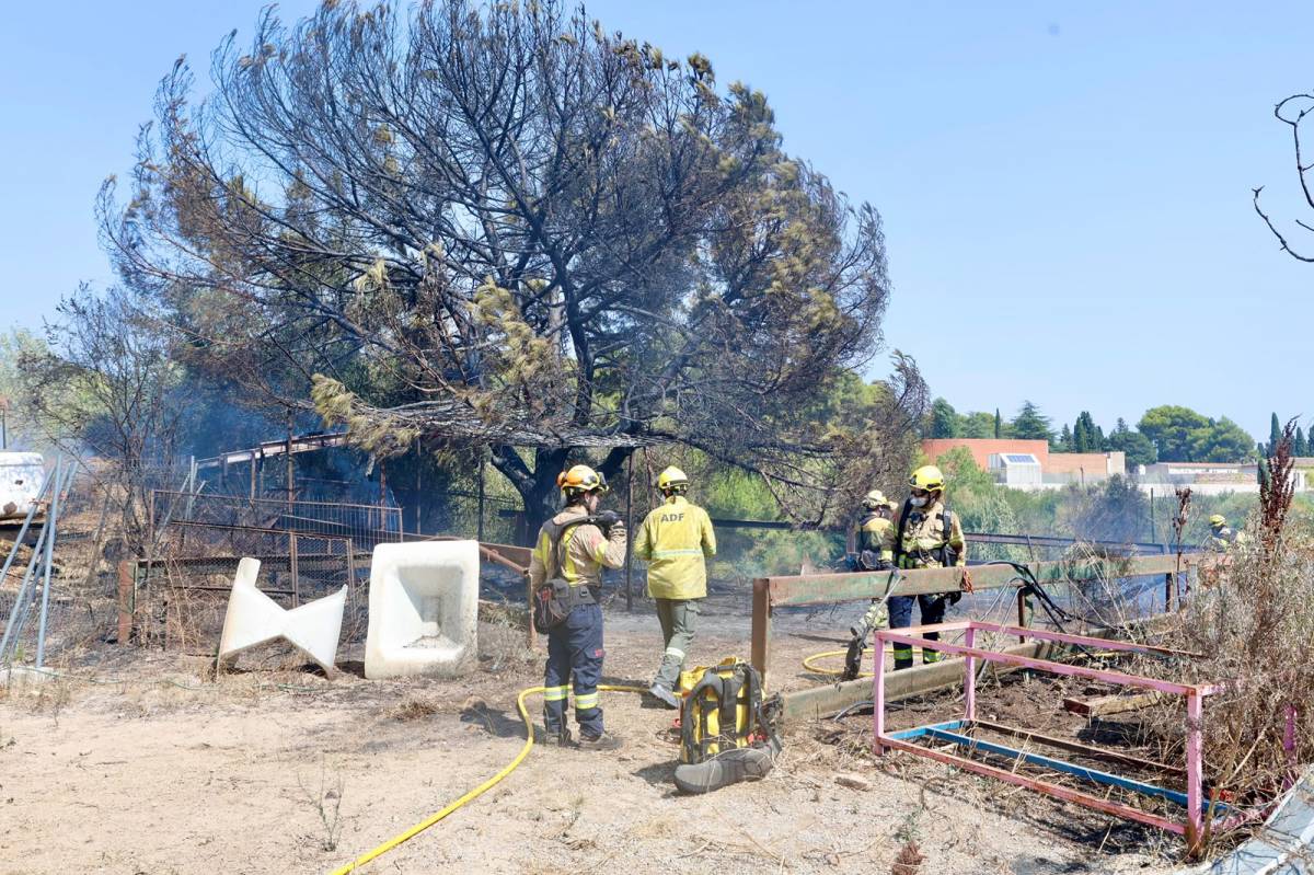 Incendi forestal al Raval d`Amàlia de Sabadell - Juanma Peláez Incendi forestal al Raval d`Amàlia de Sabadell