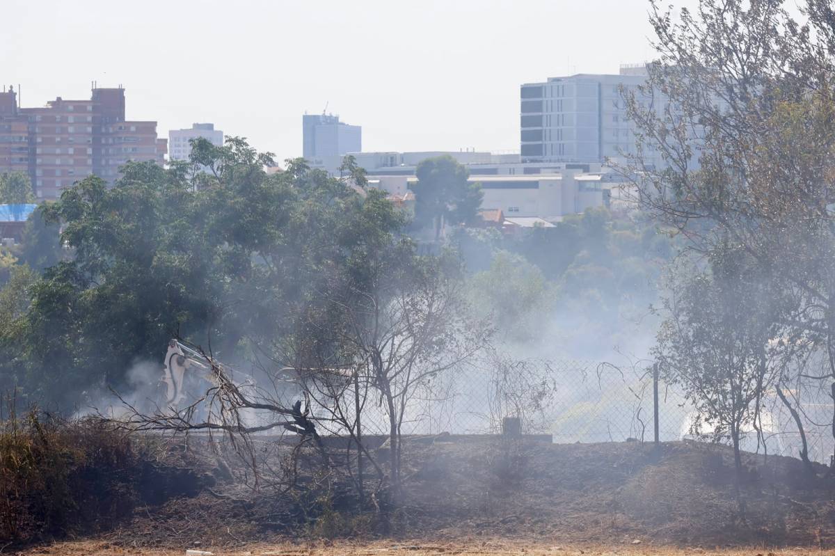 Incendi forestal al Raval d`Amàlia de Sabadell - Juanma Peláez Incendi forestal al Raval d`Amàlia de Sabadell