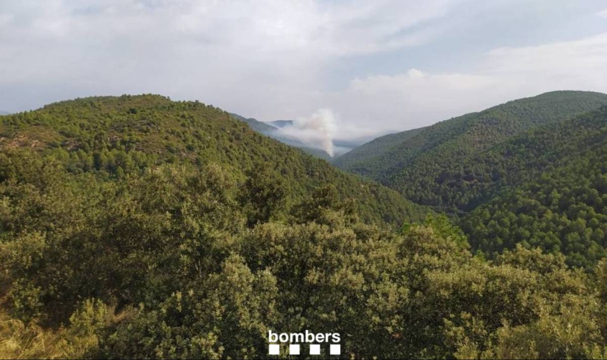Cinc incendis per llamps al Pirineu i Prepirineu