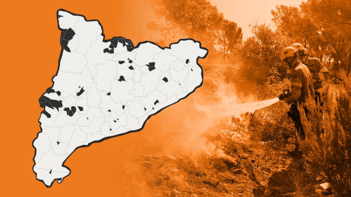 Els forats negres en la lluita contra el foc: 54 ajuntaments mai han tingut pla